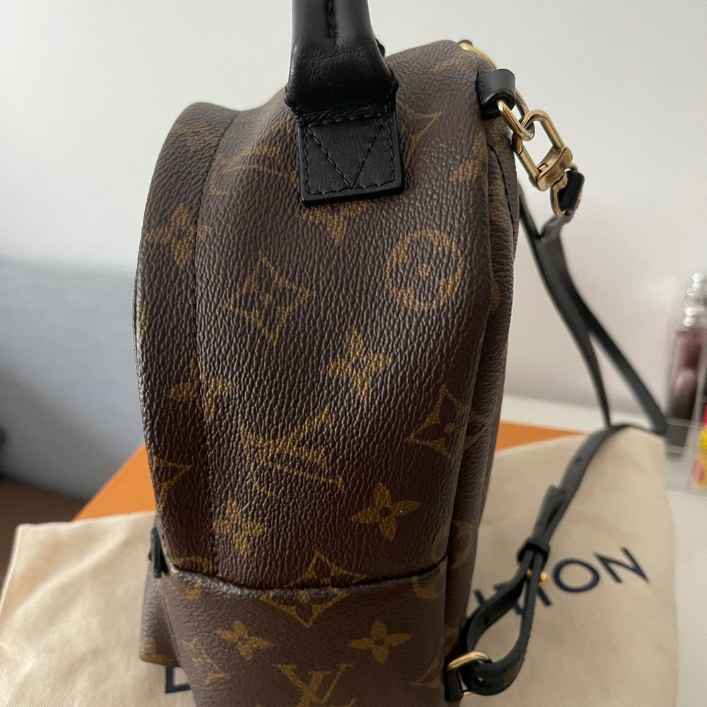 LV Palm Spring Mini Backpack - Picture 3 of 9